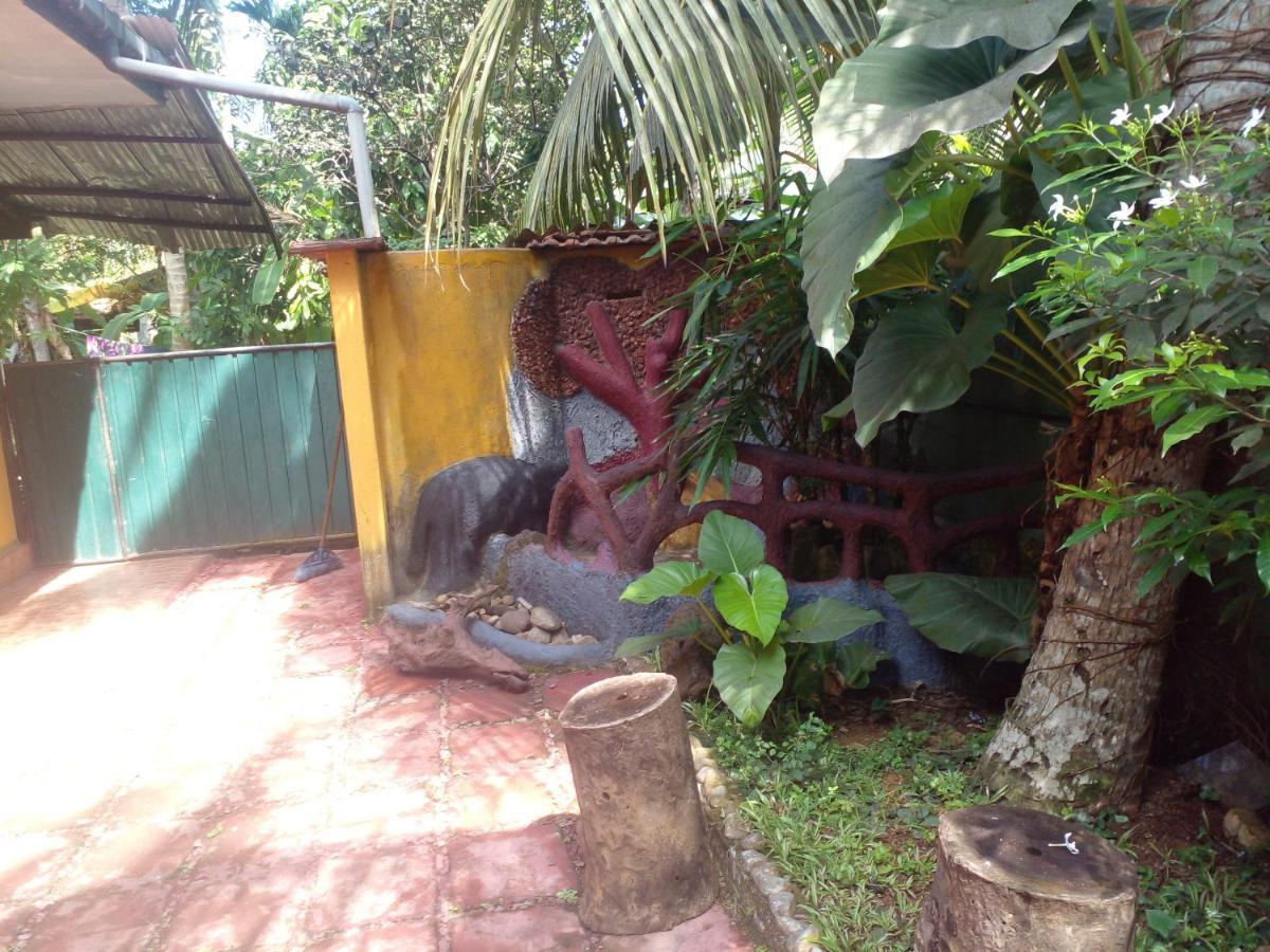 Grace Villa Bentota Kültér fotó